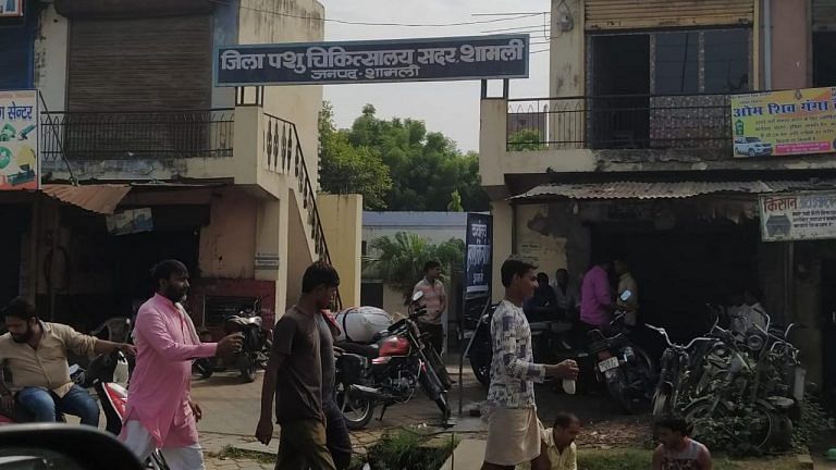 How killing of a monkey sparked communal tension in UP’s Shamli district