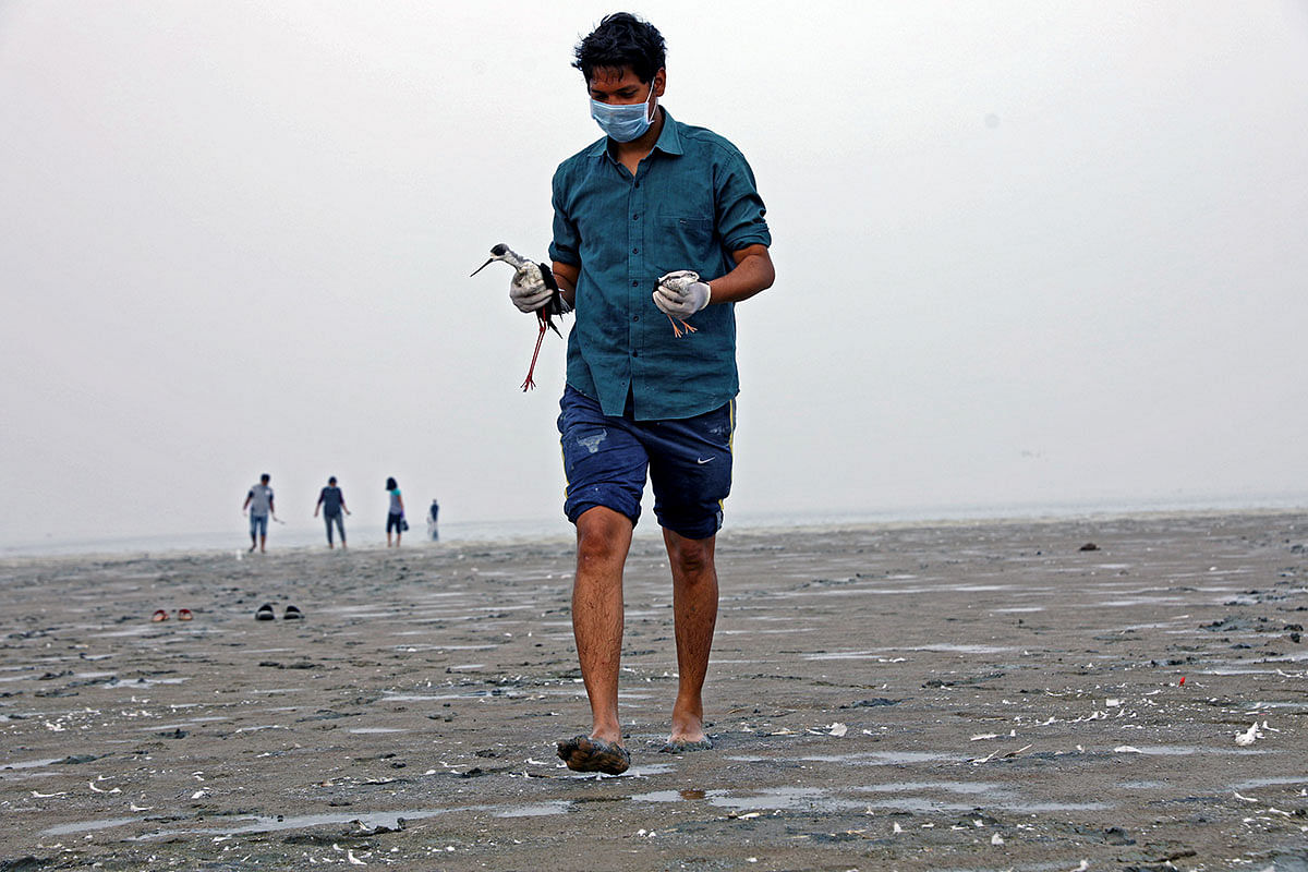 Volunteers from local NGOs are working at rescuing birds and cleaning up the lake. | Photo: Bahar Dutt