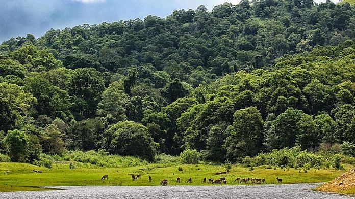 Periyar Tiger Reserve | Representational image | Commons