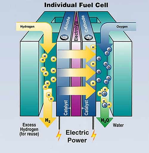 The internal mechanism of a hydrogen fuel cell