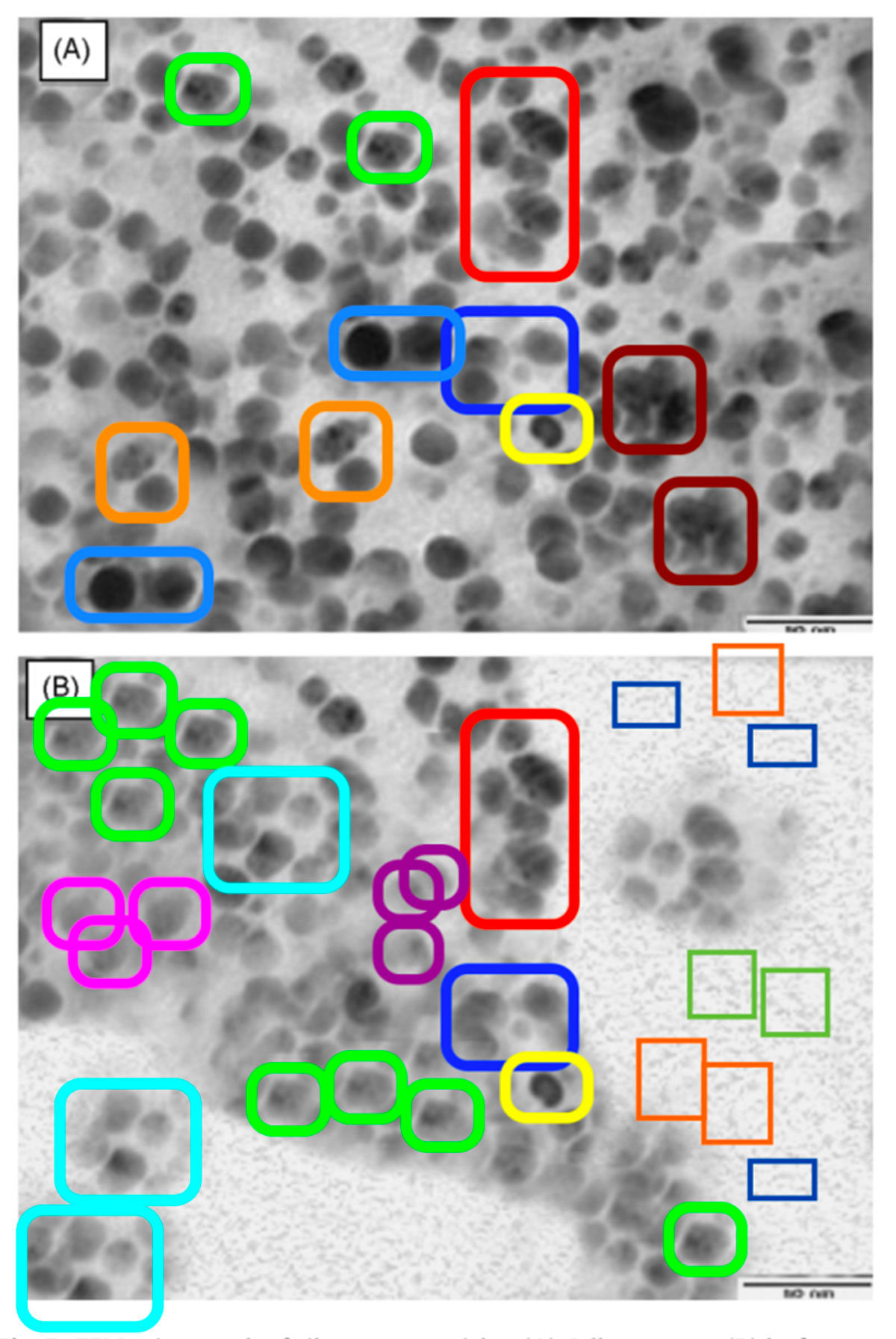 Pattern repetition in image of silver nanoparticles | Credit: Elisabeth M. Bik | Original image: Asmathunisha Nabikhan, Kathiresan Kandasamy, Anburaj Raj, Nabeel M. Alikunhi, Annamalai University