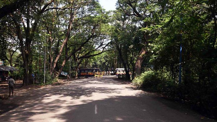 stand guard outside the Aarey Colony