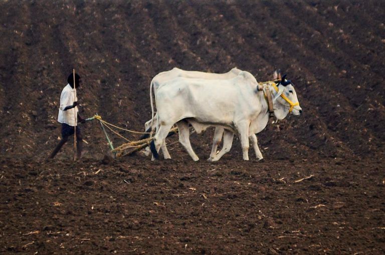 How Modi govt’s farm reform laws could help turn India into ‘a food-export powerhouse’