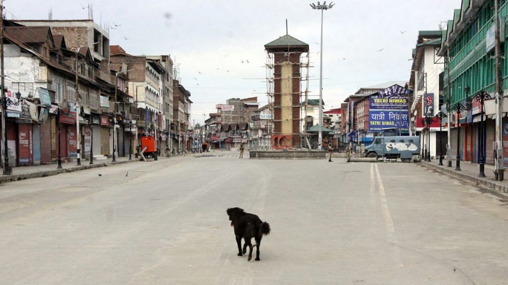 Deserted road in Srinagar | Praveen Jain | ThePrint