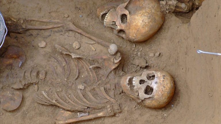 Teeth to dirt: Archaeological discoveries are happening faster than ever before
