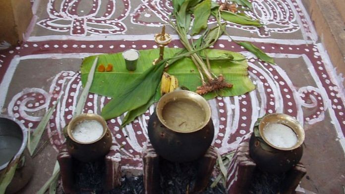 Picture of Pongal celebrations