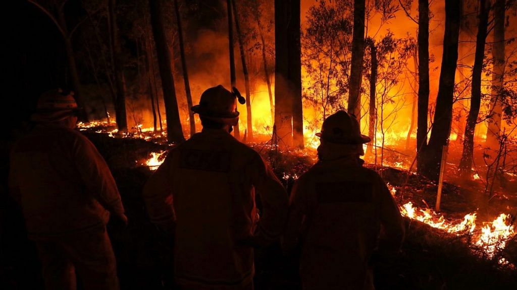 A wildfire burns between the towns of Orbost and Lakes Entrance in east Gipplsland on 2 January 2020 in Australia | Bloomberg