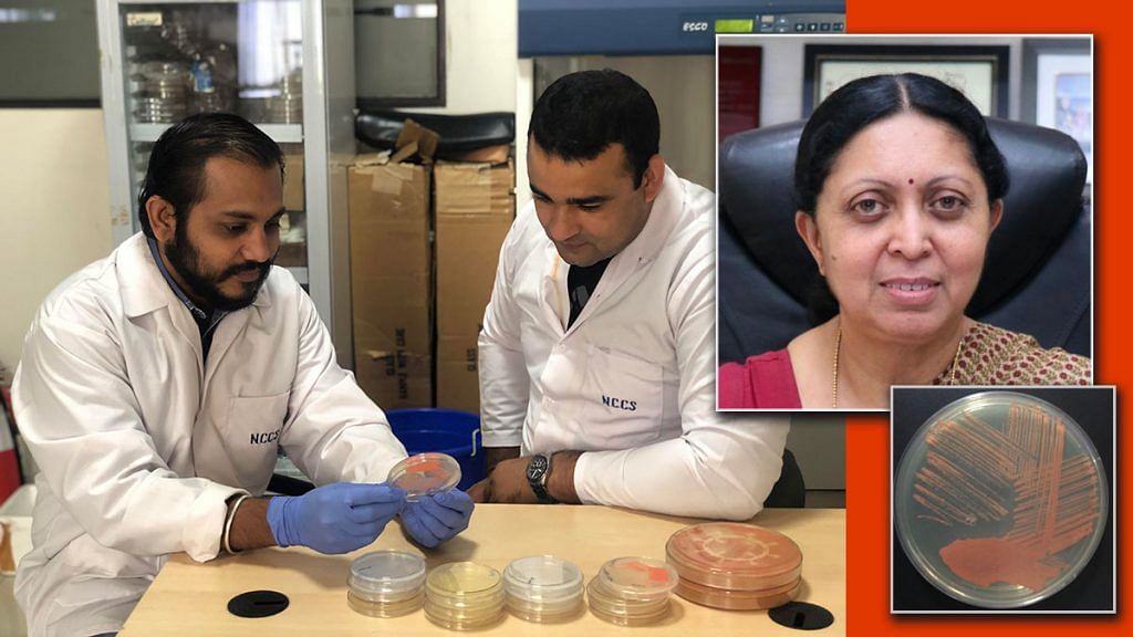 Researchers Swapnil Kajale and Avinash Sharma with the N. Swarupiae cell cultures. (Inset) Renu Swarup, secretary, Department of Biotechnology.