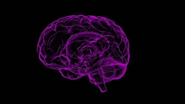 It’s time to change the way we tell the story of humans. Count your neurons, not just blessings