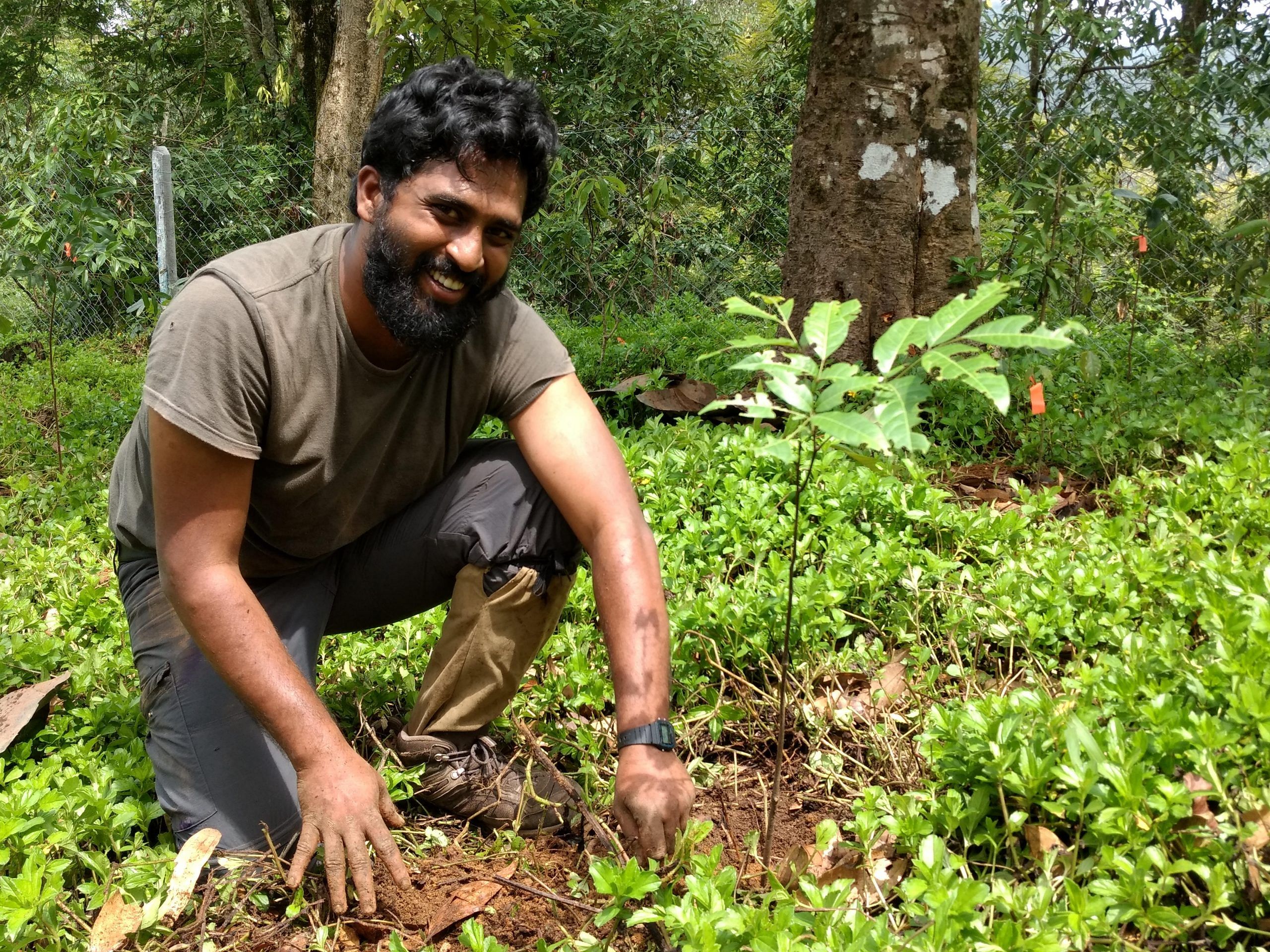 A mix of nursery-raised tree saplings is planted at a restoration site