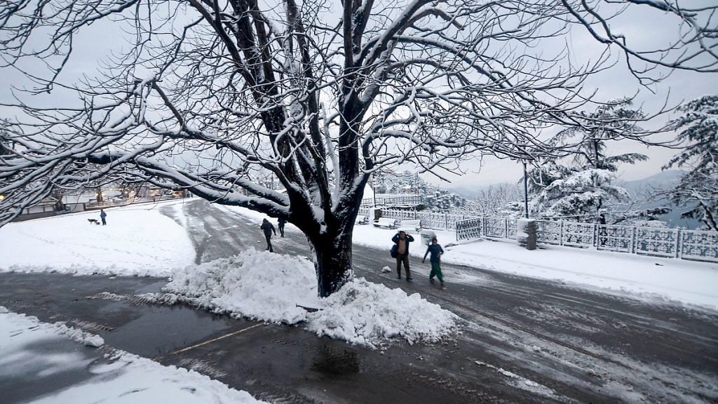 People walk by a snow-clad tree on the Ridge in Shimla | PTI