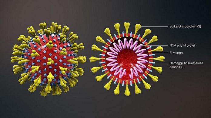 The three parts of the coronavirus | Photo: Commons