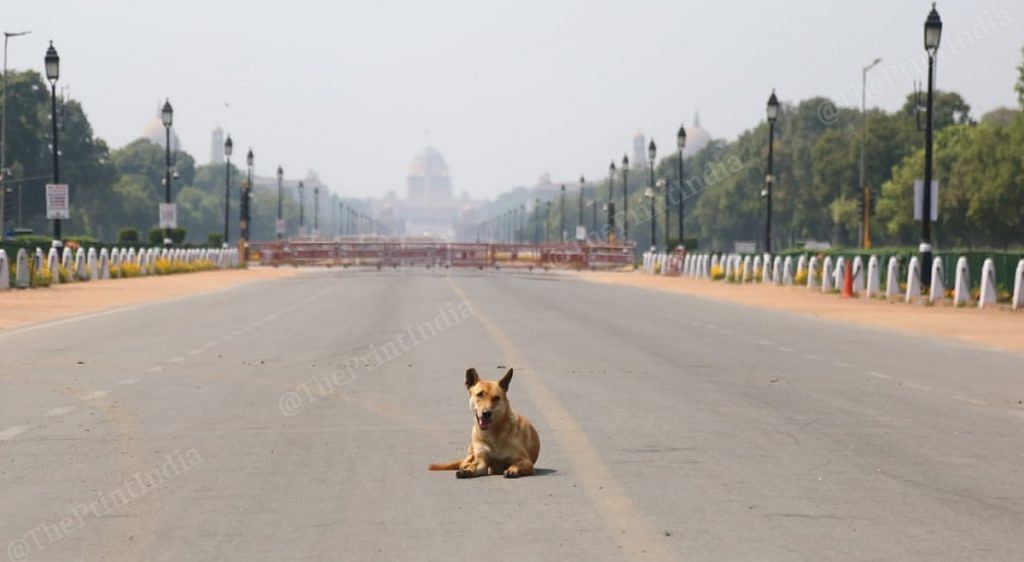Delhi under lockdown during Janata curfew | Photo: Suraj Singh Bisht | ThePrint