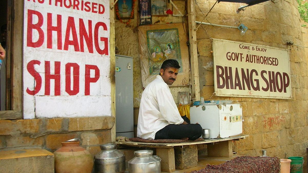 holi festival time drink bhang lassi