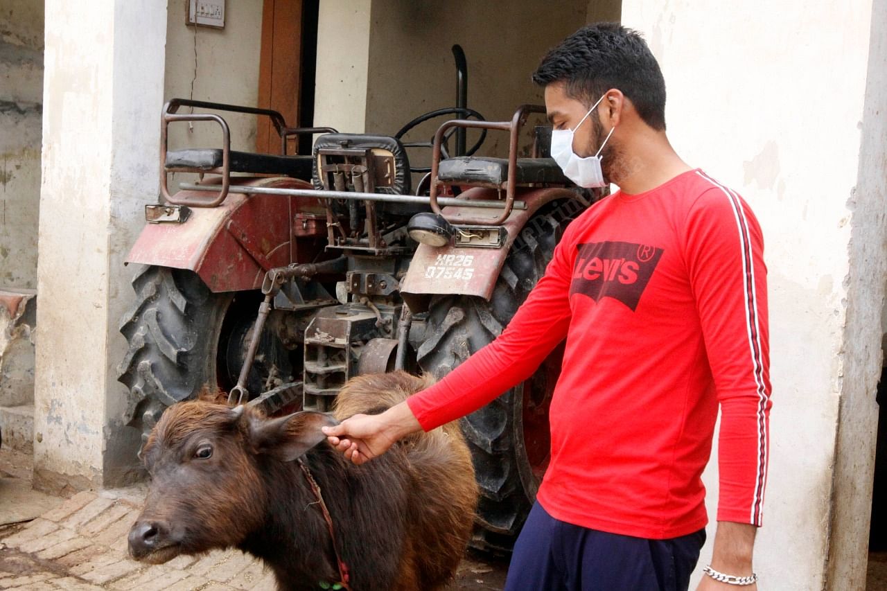 Farmer Shashank Tyagi at his dairy farm in Uttar Pradesh's Baghpat. | Photo: Praveen Jain/ThePrint