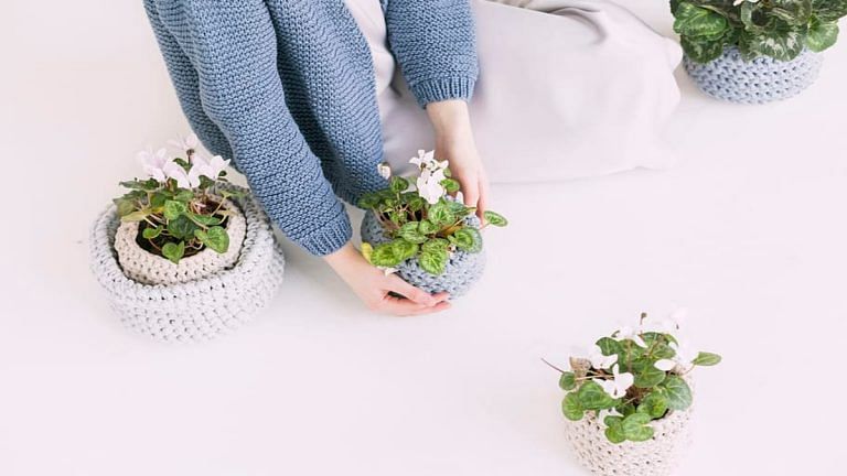 Feeling stressed? Just add some pretty plants to the front of your house