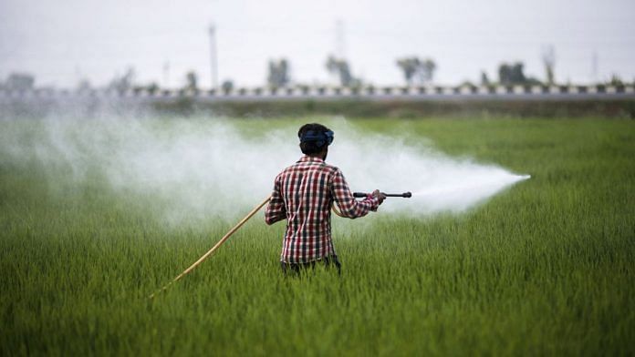 Farming in Punjab. Representational image. Photo | Bloomberg