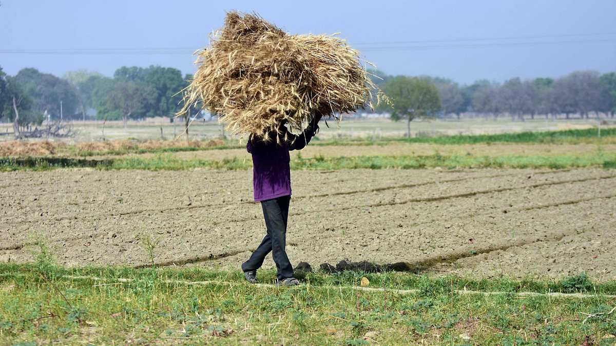 Khattar govt plans to help Haryana farmers get land in African nations. Farm leaders call it ‘jumla’