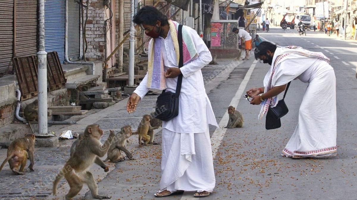 Sadhus feeding monkeys on the roads of Ayodhya | Photo: Praveen Jain | ThePrint