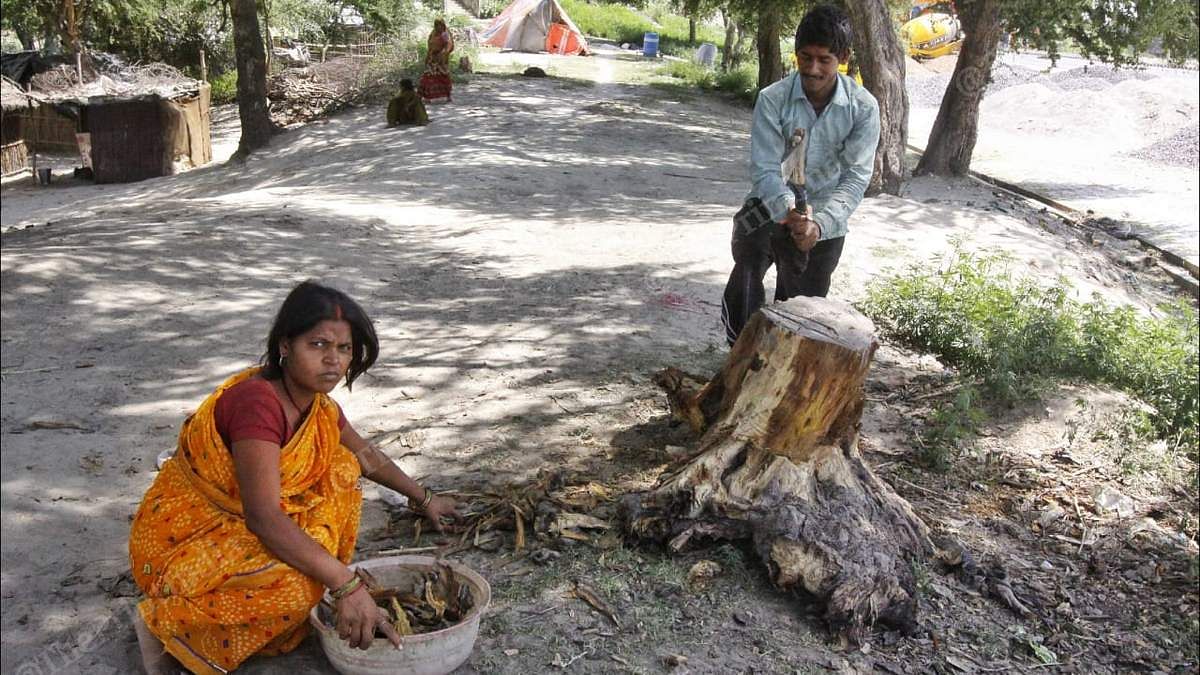 Saraswati Nishad and her husband collect wood for cooking | Photo: Praveen Jain | ThePrint