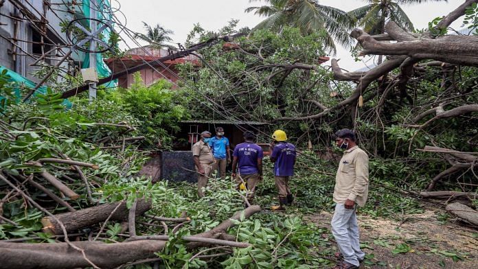 An uprooted tree fell on a power line during a storm in Coimbatore, Tamil Nadu, Sunday, as Cyclone Amphan gathers strength over the Bay of Bengal | PTI