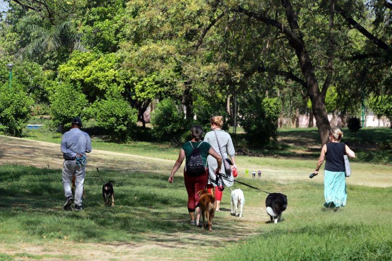 Delhi opens some of its parks and gardens, but no yoga & open gym allowed for now
