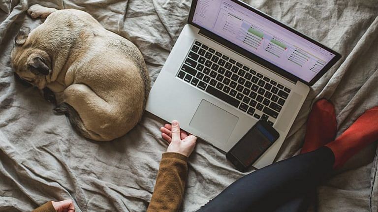 Good dogs don’t make good co-workers