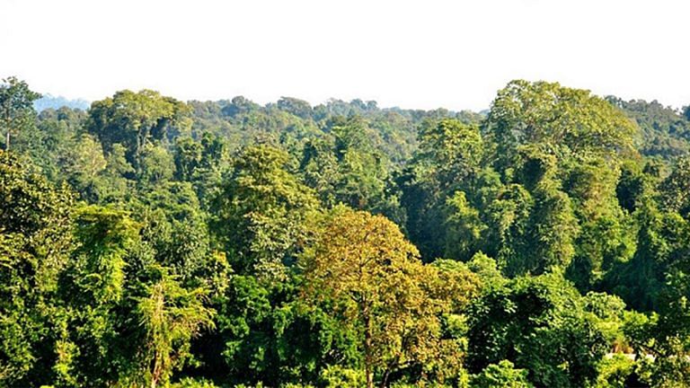 Adil Hussain, Papon join campaign to save ‘Amazon of East’ as Assam trends #SaveDehingPatkai