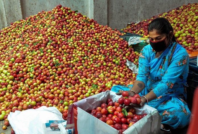 Representational image. A woman packs plums at Bhuntar, during the ongoing Covid-19 nationwide lockdown, in Kullu district. PTI