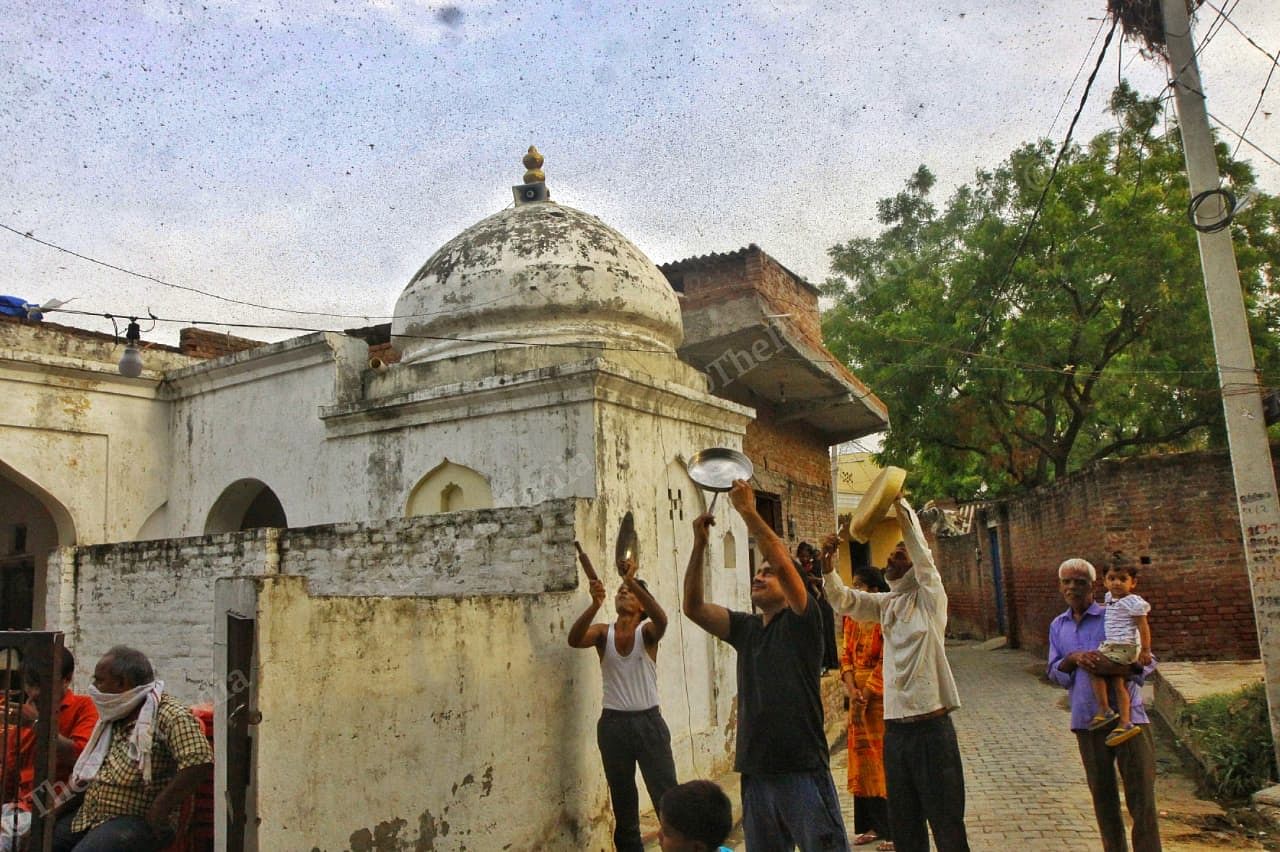 People stand next to the temple in Baghai, clanging utensils under a speckled sky as locusts swarm over them | Praveen Jain | ThePrint