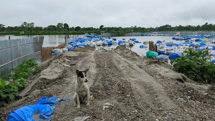 Assam's Dhubri district struggled to cope with the massive influx of returnees. Waste from the quarantine facility was strewn all around a nearby plot. Residents rued that the garbage bags contain discarded PPE kits, food items and medical equipment that has triggered a health risk. | Photo: Yimkumla Longkumer | ThePrint