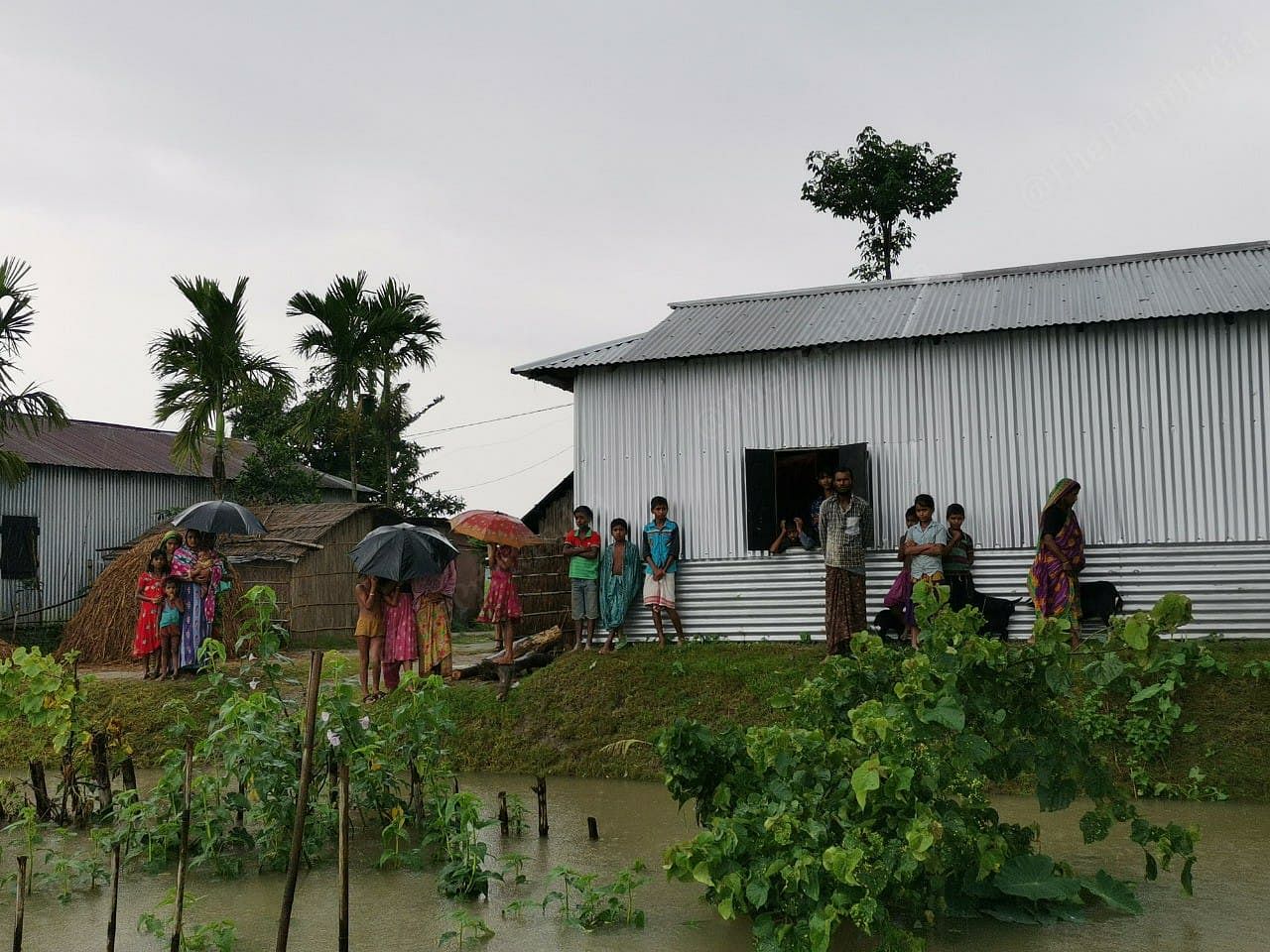 Thousands of families in Assam live in makeshift tin houses and are constantly forced to move because of floods. Around 4,000 such chawls exist in the state | Angana Chakrabarti | ThePrint
