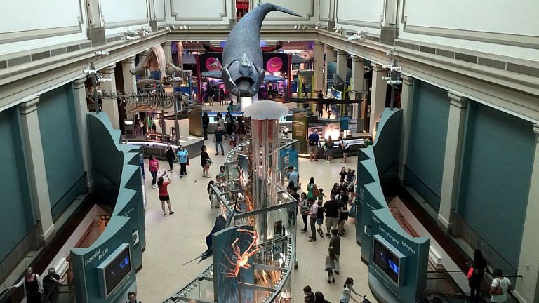 Natural history museums preserve clues to predict future pandemics