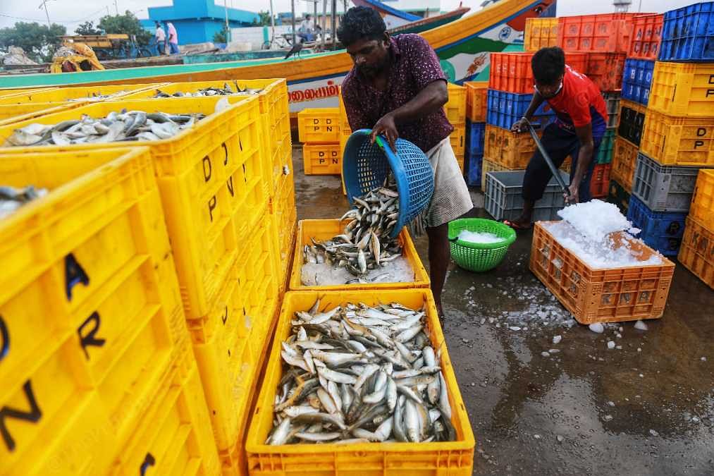Workers at the Kasimedu fish market | Manisha Mondal | ThePrint