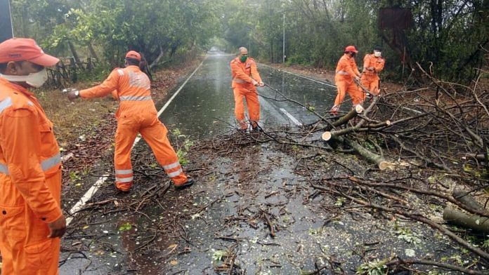 NDRF personnel removing uprooted trees after the landfall of Cyclone Nisarga in Raigad Wednesday. | Photo: ANI