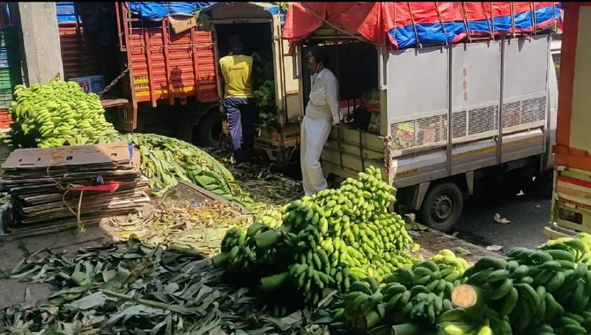 Vegetables are unloaded at the APMC mandi in Navi Mumbai | Ananya Bhardwaj | ThePrint Vegetables are unloaded at the APMC mandi in Navi Mumbai | Ananya Bhardwaj | ThePrint