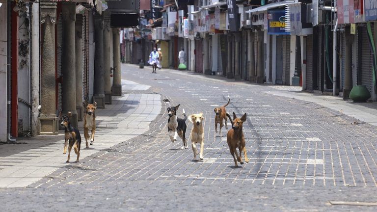 First, the pandemic made Indians abandon pets, then they rushed to adopt them