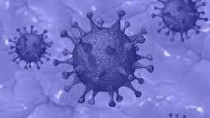 Strain of novel coronavirus | Pixabay