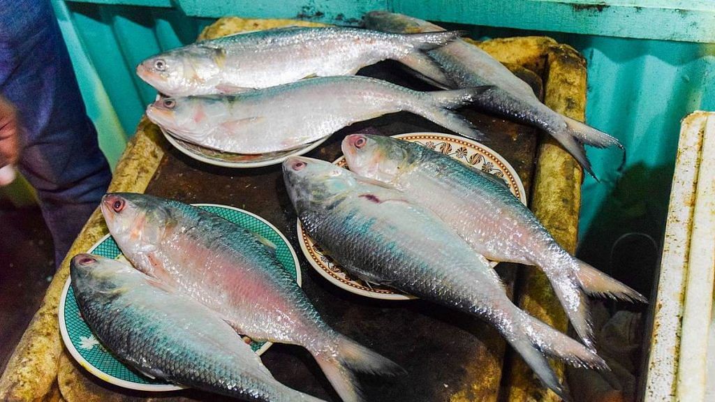 Representational image for hilsa fish | Photo: Commons