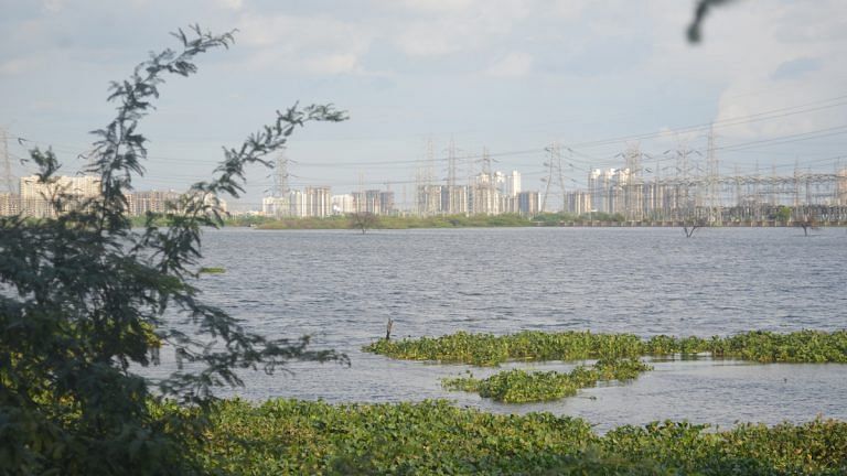 Najafgarh jheel to nala — How Delhi and Gurugram ruined their second-largest waterbody