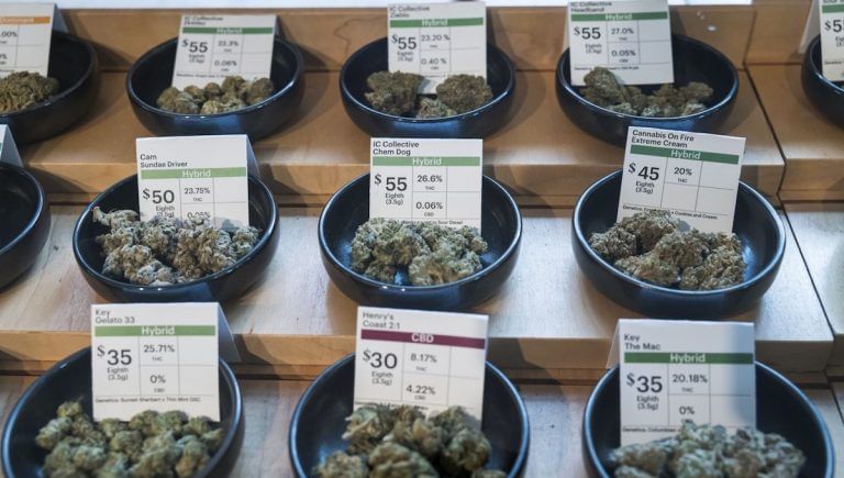 Let Rhea Chakraborty smoke weed in peace — legalise cannabis, end the hypocrisy