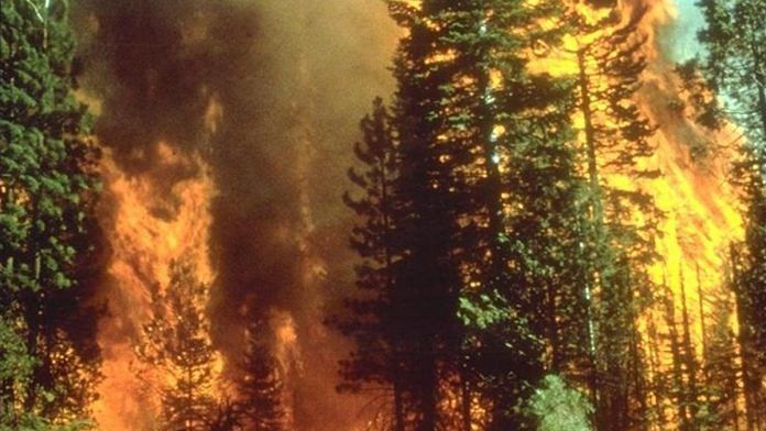 Representational image of California wildfire | Commons