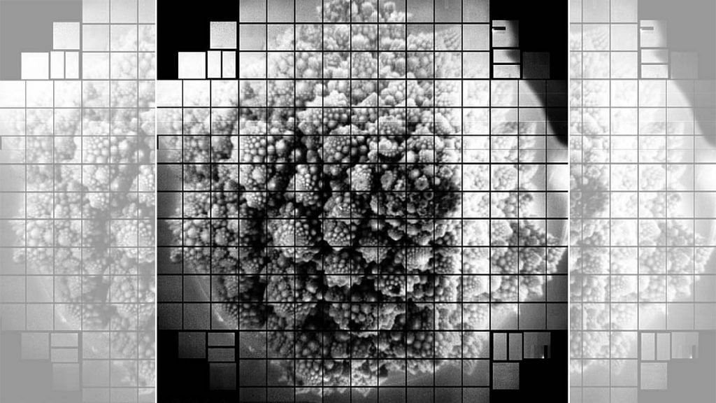 Close-up image of a Romanesco cauliflower captured by the world's most powerful camera is one of the largest photographs ever taken at 3,200 megapixels | Photo: SLAC National Accelerator Laboratory (US)
