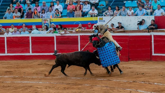 Representational image of bullfighting | Wikimedia Commons