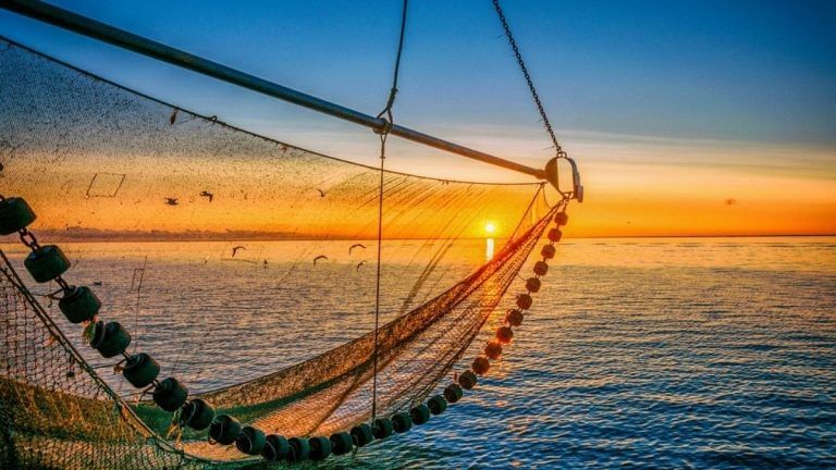 Shrimp farming is ruining our mangroves, but there are solutions