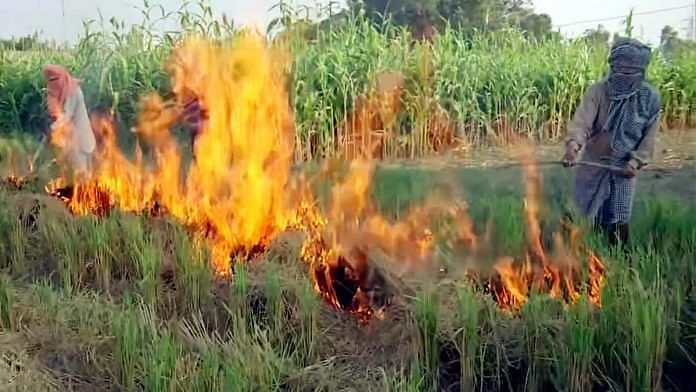Farmers in Punjab's Tarn Taran burn stubble in their fields | Photo: ANI
