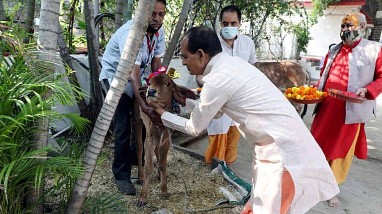 Why ‘secular’ Shivraj has embraced aggressive Hindutva on ‘love jihad’, cow and more