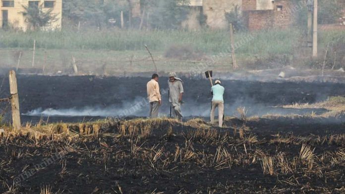An agricultural field set on fire to burn stubble at Pasiana on Patiala-Sangrur Highway in Punjab | Suraj Singh Bisht | ThePrint
