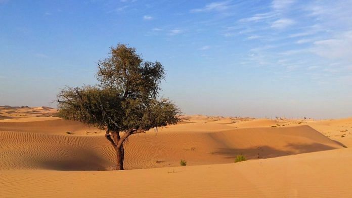 Representational image | A desert in Abu Dhabi | Pexels