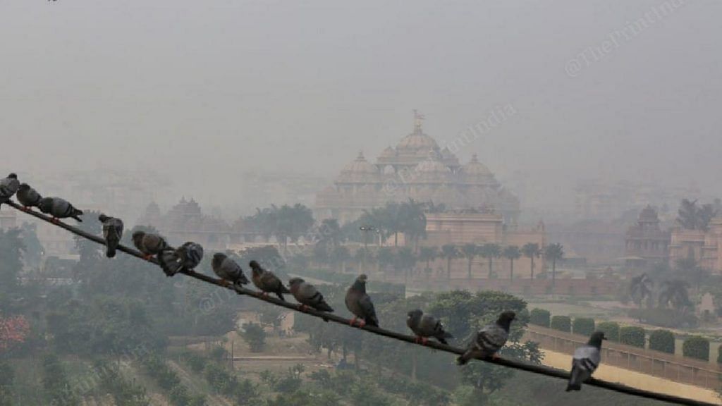A hazy view of Delhi's Akshardham temple, seen behind a group of pigeons perched on an electricity wire | Photo: Suraj Singh Bisht | ThePrint